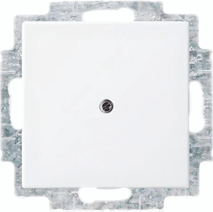 Busch-Jaeger Blind central disc