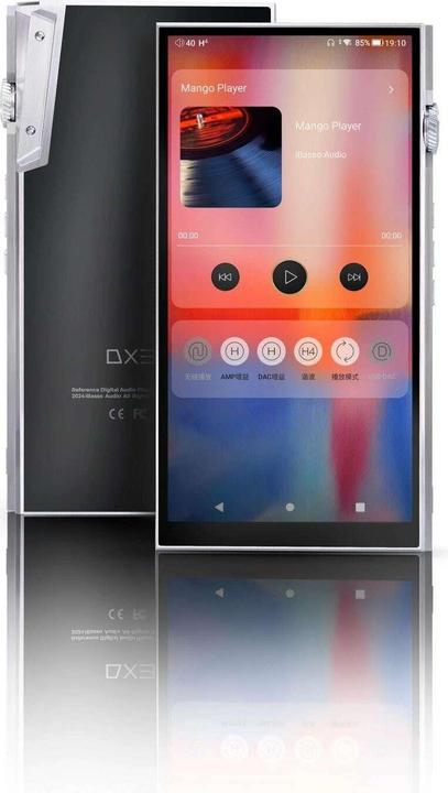 Image du produit iBasso DX340 (256 Go)