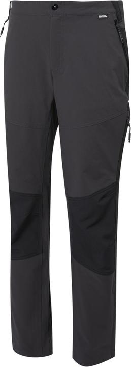 Actual product image Regatta Mens Questra V Hiking Trousers (Frequency band 38 (2600 MHz))