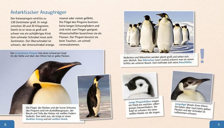 Produktbild Meine grosse Tierbibliothek: Der Pinguin (Deutsch, Dr. Jens Poschadel, 2020)