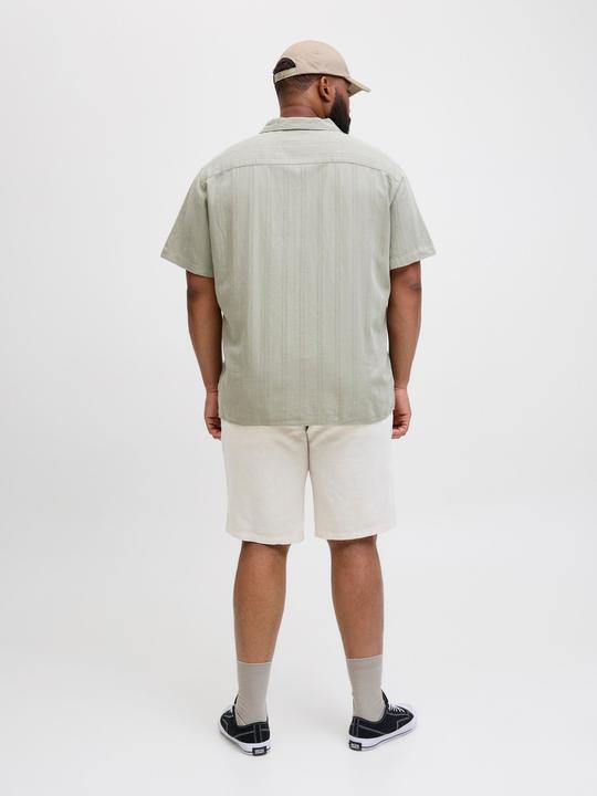 Actual product image Jack & Jones Plus Tapered Chino Shorts Chino Shorts (42)