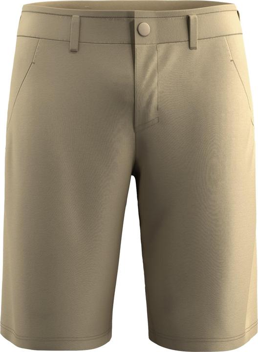 Salewa Fanes Light Shorts