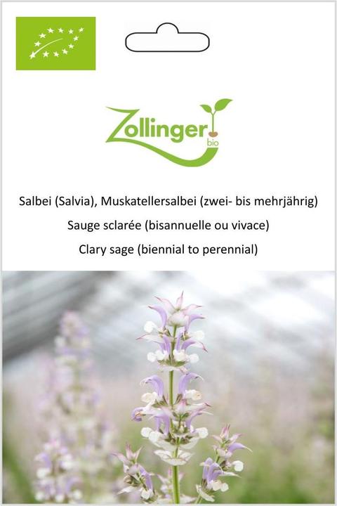 Produktbild Zollinger Bio Salbei (Salvia), Muskatellersalbei (zwei- bis mehrjährig) (Pflanzensamen)