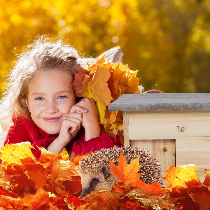 Actual product image Relaxdays Hedgehog House Building Kit