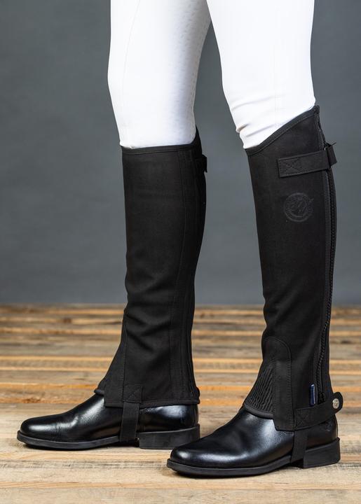 Actual product image Harry's Horse half chaps aara grand prix (M)