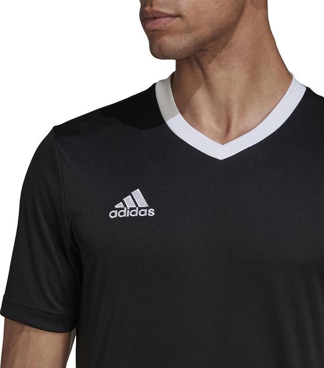 Actual product image adidas SHIRT ENTRADA 22 BLACKAD X8742545 (M)