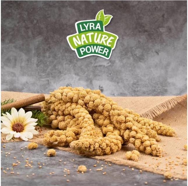 Immagine prodotto Lyra Pet Miglio coda di volpe (1 x, 1 kg)