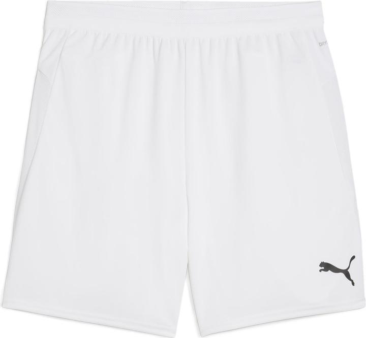 Puma teamCUP Shorts