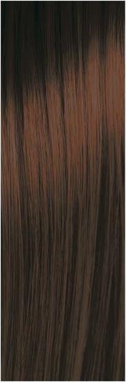 Produktbild pH Argan & Keratin Color (4.3 Goldbraun)