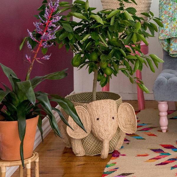 Actual product image Rice Elephant (1 x)
