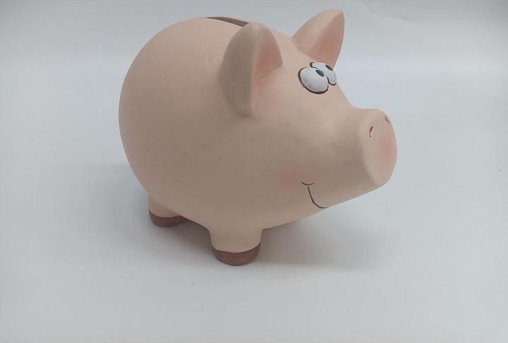Roost Cassa di risparmio Pig (18,5 x 14,5 x 15,5 cm)