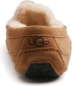 Actual product image Ugg Ascot (43)