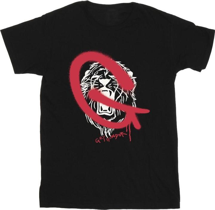Gryffindor Pop Spray TShirt Jungen