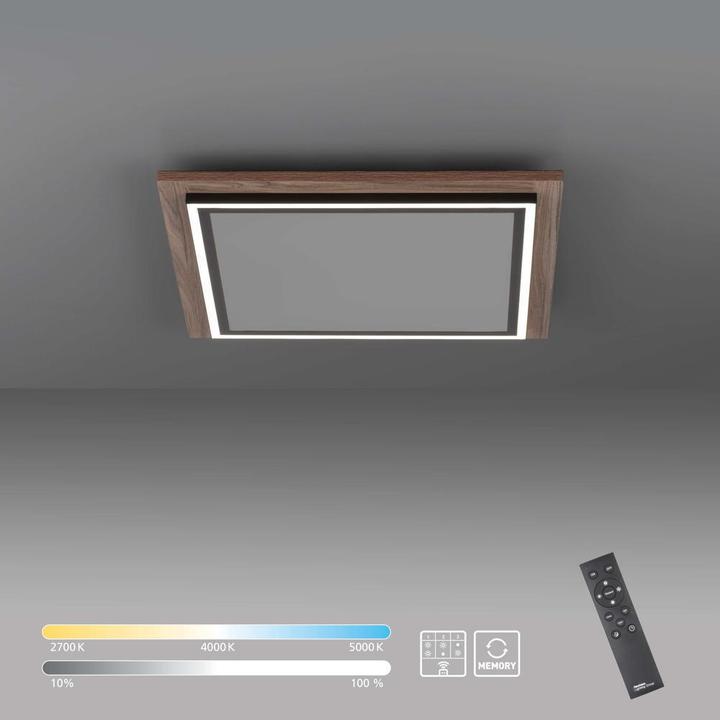 Produktbild Paul Neuhaus Palma (1250 lm)