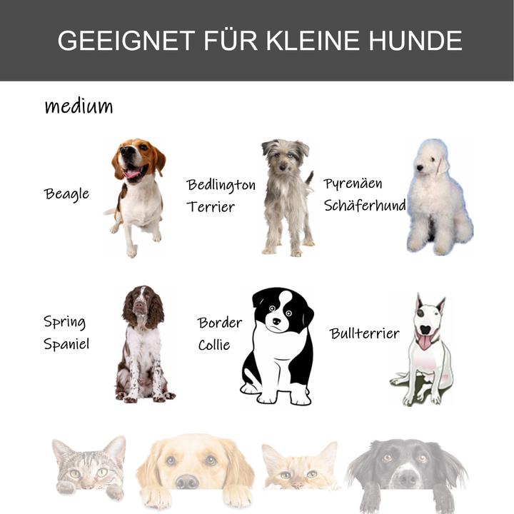 Produktbild PawHut Hundetransport 4 Drehrollen, davon 2 mit Bremsen, haltbare Materialien (Hund, Faltbar)