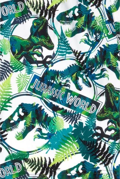 Actual product image Jurassic World Boys' shorts (128)