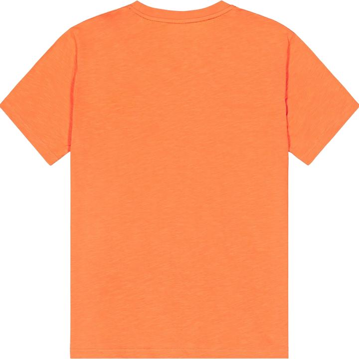 Actual product image Picture Adak (L)