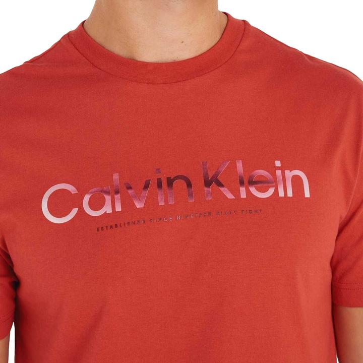 Immagine prodotto Calvin Klein TShirt (L)