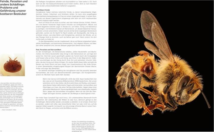 Actual product image Die Verführung der Biene (German, Cornelia Panzacchi, Jürgen Tautz, Craig P. Burrows, 2024)