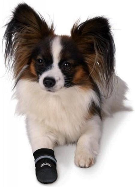 Produktbild Trixie Pfotenschutz (XS, Hundeschuhe)