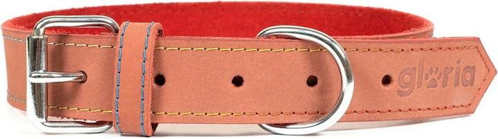 Gloria Hundehalsband Oasis 45cm Rot (45 x 1,8 cm)
