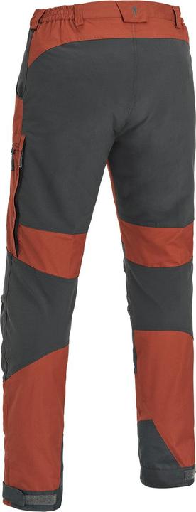 Actual product image Pinewood Caribou TC (158)