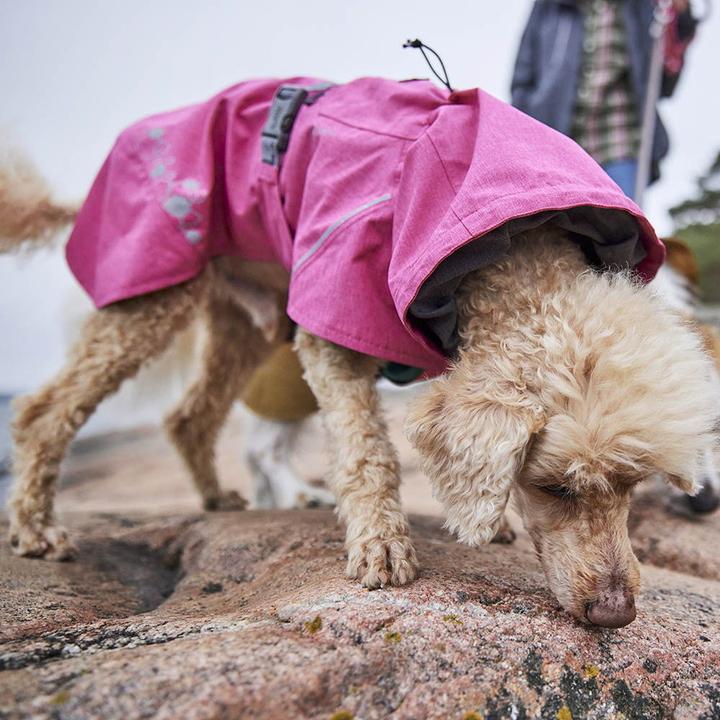 Actual product image Hurtta Monsoon V2 Eco green mackintosh, 60 cm (60, Dog raincoat)