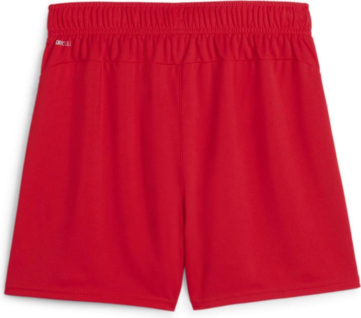 Actual product image Puma teamGOAL Handball Shorts W (XL)