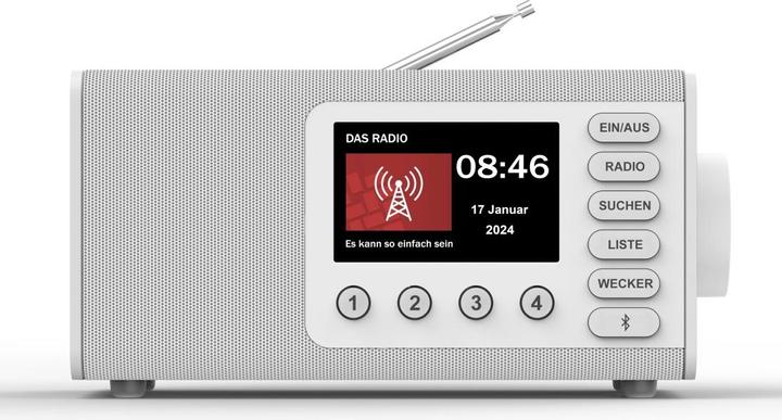 Hama DR1001BT (DAB+, FM, DAB, Bluetooth)
