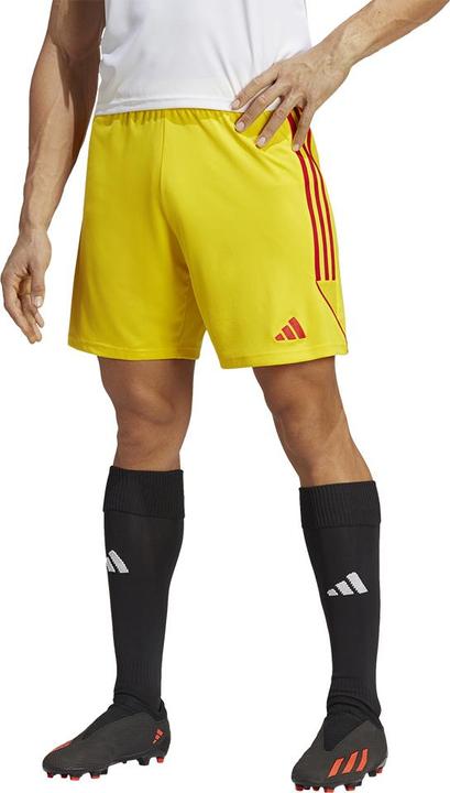 Actual product image adidas Tiro 23 training shorts men (XS)
