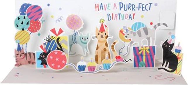 Up with paper Biglietto di compleanno pop-up motivo gatto