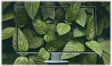 Produktbild Eizo EV2360 FlexScan (1920 x 1200 Pixel, 23")