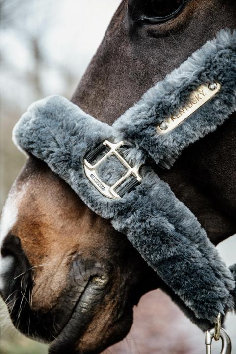 Produktbild Kentucky Horsewear tragehalfter schaf