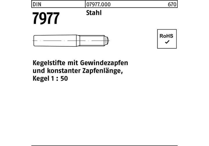 Productafbeelding DIN 7977/ISO 8737 met draadstift