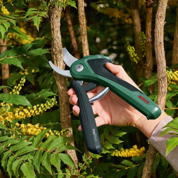 Produktbild Bosch Home & Garden EasyPrune