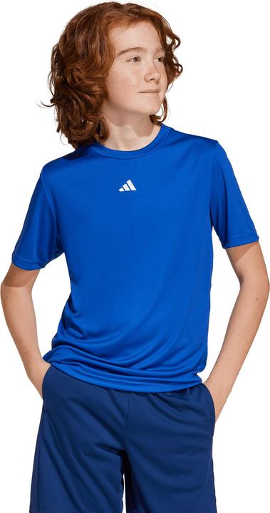 Actual product image adidas Train Essentials Logo (164)