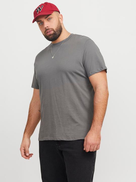 Actual product image Jack & Jones Jjebradley Tee Ss Noos Pls (6XL)