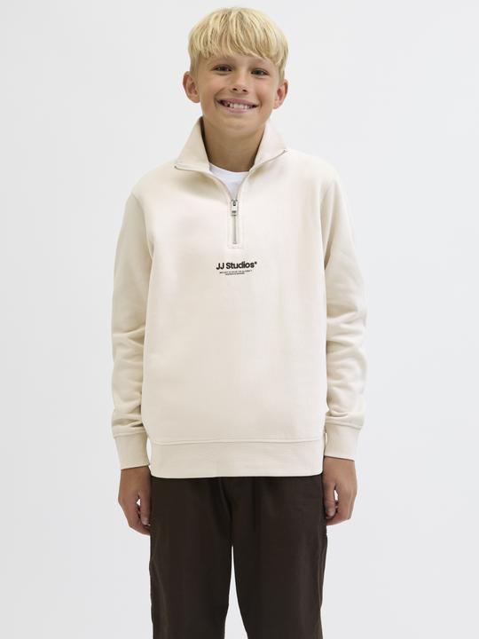 Actual product image Jack & Jones Jjesoho Sweat Quarter Zip Hn Noos Jnr (176)