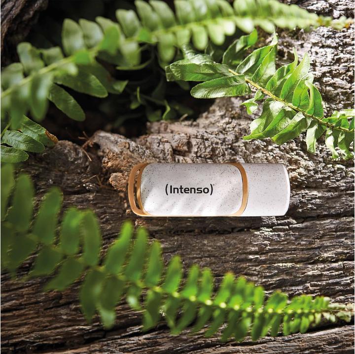 Actual product image Intenso Green Line (128 GB, USB-A)