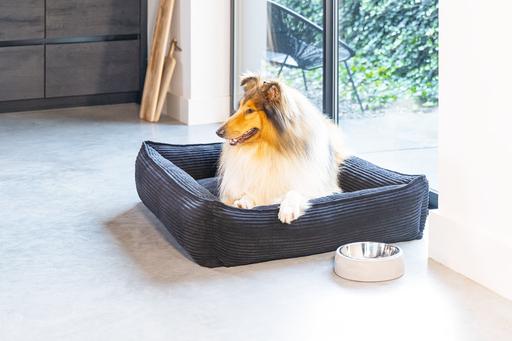Actual product image Designed by Lotte Ribbed (Dog)