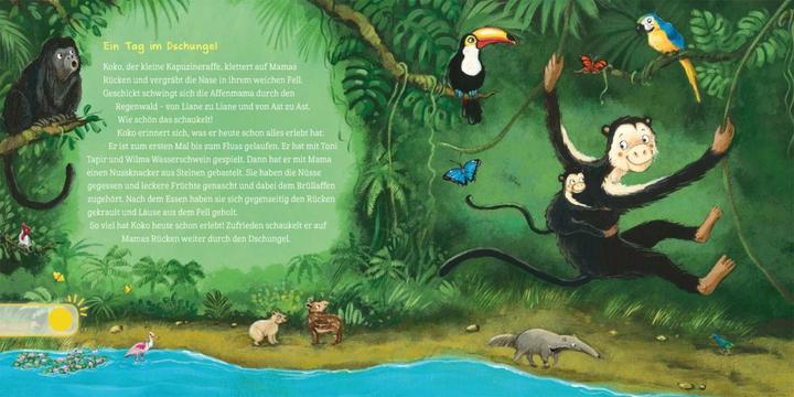 Produktbild Hör mal (Soundbuch): Erste Geschichten: Kleine Tiere (Deutsch)