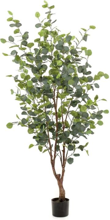 Emerald Merna (140 cm)