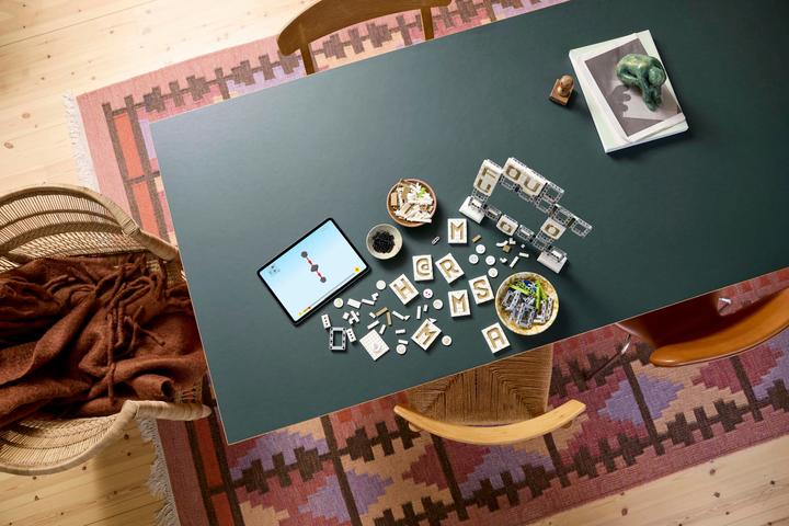 Produktbild LEGO Miscellaneous Infotafel 41839 (41839)