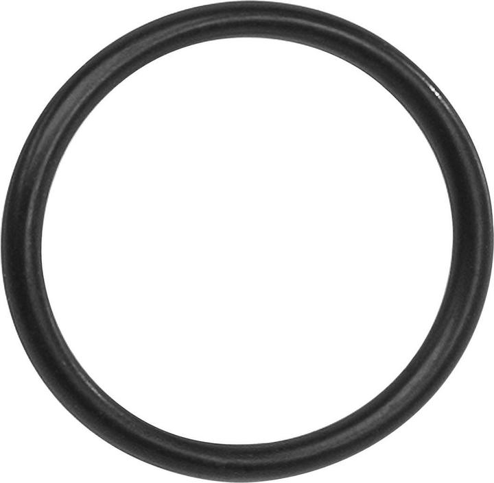 Bosch eBike O-Ring zur Montage des Kettenblatt in Kombination mit Lockring BDU3xx