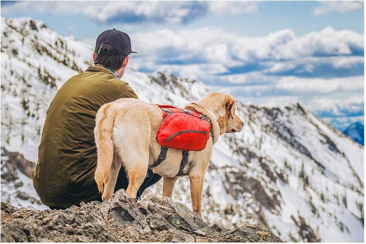Actual product image Kurgo Baxter backpack dogs 23kg 50 kg (22, 24, 25, 26, 27, 28, 30, 31, 32, 33, 34, 35, 36, 38, 40, 42, 44, 45, 46, 48, 50)