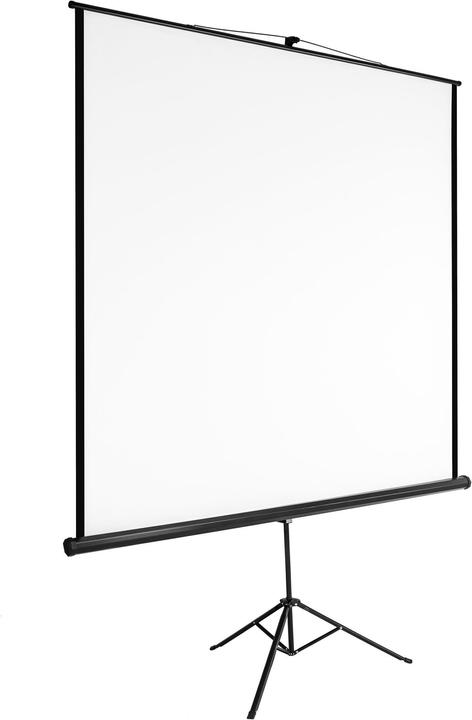Produktbild tectake Stativ Beamer Leinwand (84.25", 1:1)