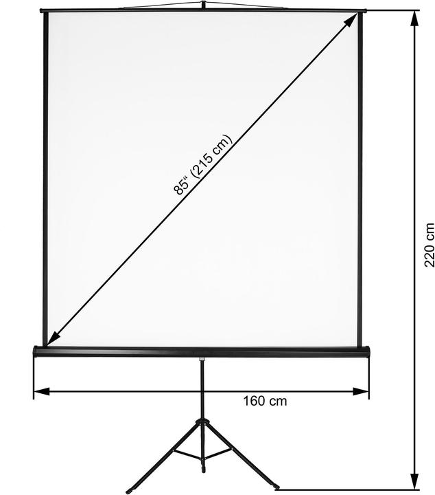 Produktbild tectake Stativ Beamer Leinwand (84.25", 1:1)