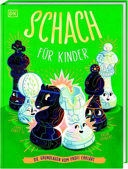 Actual product image Chess for children