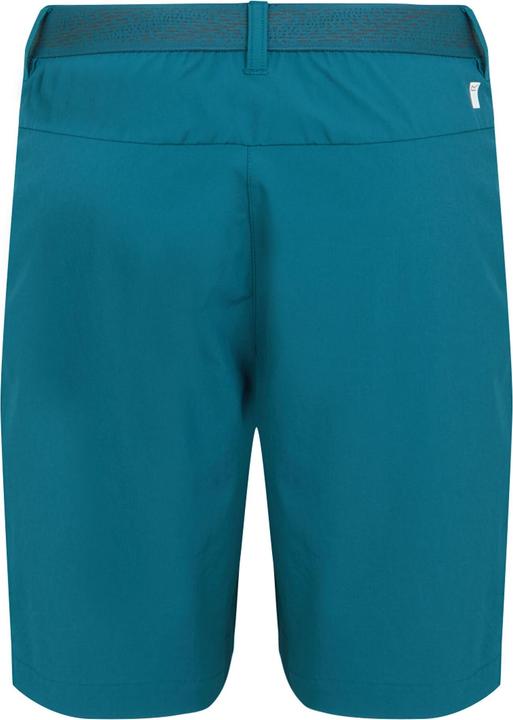 Regatta Mountain II Shorts