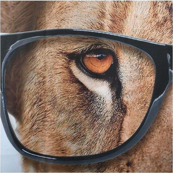 Produktbild spirella Smartlion (180 x 200 cm)
